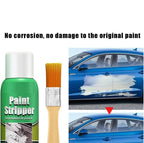 Paint Stripper 100ml Pack of 1