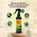 LeafGuard™ - All in One Plant Protection Spray 🌿🛡️(Buy 1 Get 1 Free🔥🔥)