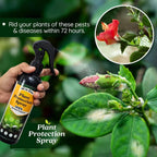 LeafGuard™ - All in One Plant Protection Spray 🌿🛡️(Buy 1 Get 1 Free🔥🔥)